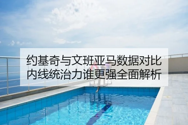 约基奇与文班亚马数据对比 内线统治力谁更强全面解析