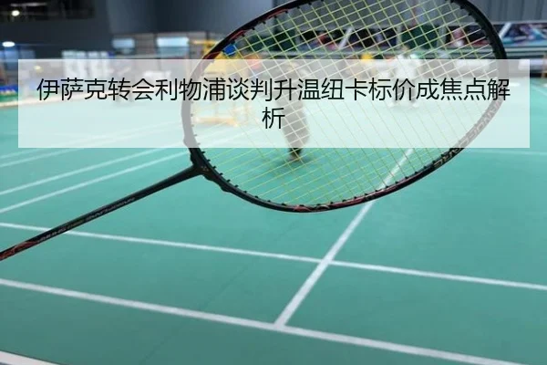 伊萨克转会利物浦谈判升温纽卡标价成焦点解析